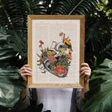 Anatomical Heart Print