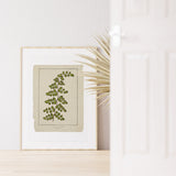 Plants art print - Green Ferns collection - Natural study of Ferns - Botanical art - Ferns poster print - BFL213WA4