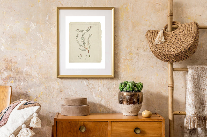 Botanical Flowers Art, Neutral Art, Plants art print, Wild flower art collection, Botanical art, Minimalist Art, Rustic Art BFL328