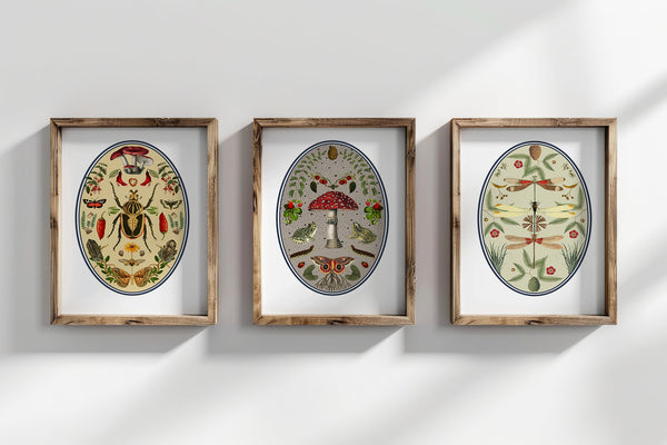 Frogs at the Magical Woods, botanical illustrations, magic art print, boho Aesthetic, Frog art print, Cottagecore Nature print, moths giclee