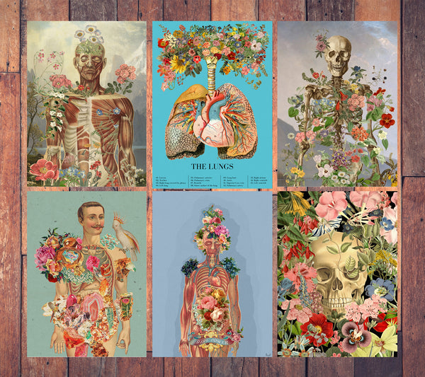 Arty Human Anatomical Postcards Set
