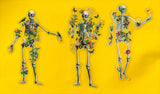 Floral Skeletons Set of three clear stickers