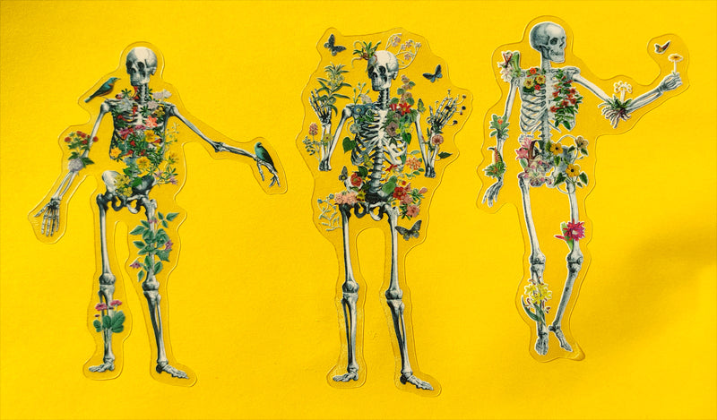 Floral Skeletons Set of three clear stickers