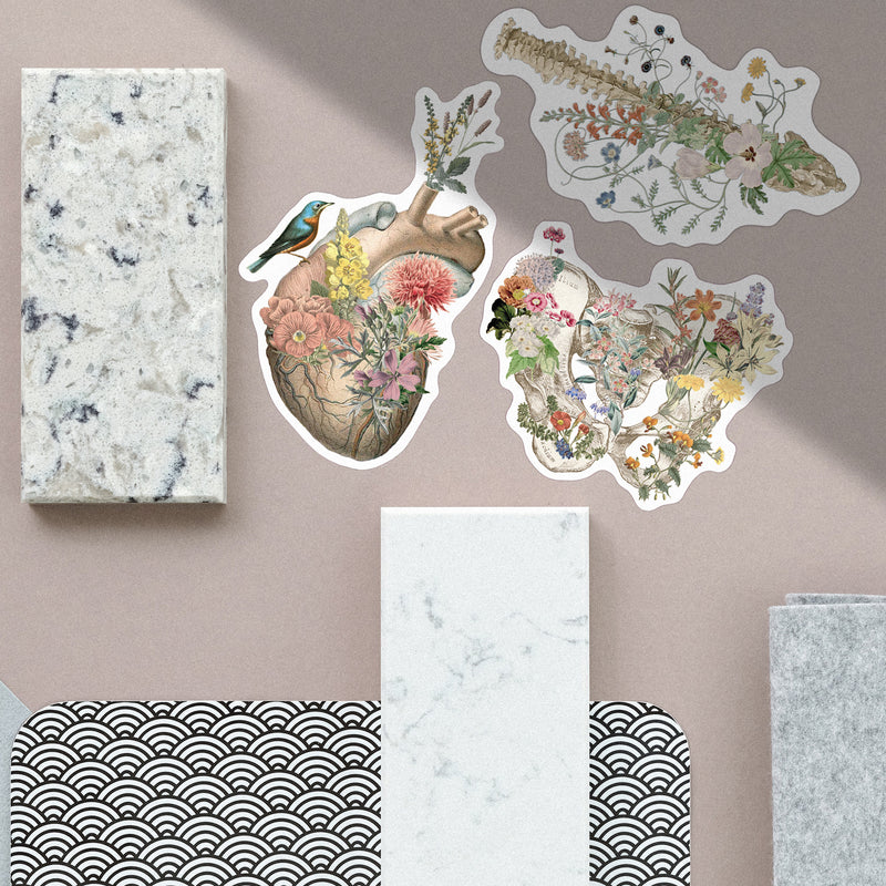 Clear Stickers set in Pastel tones