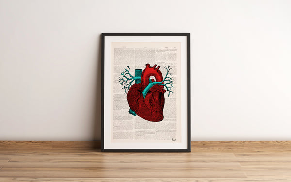 Human Heart Anatomy study art