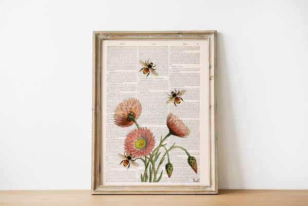 Bees with Wild Daisy flowers Print