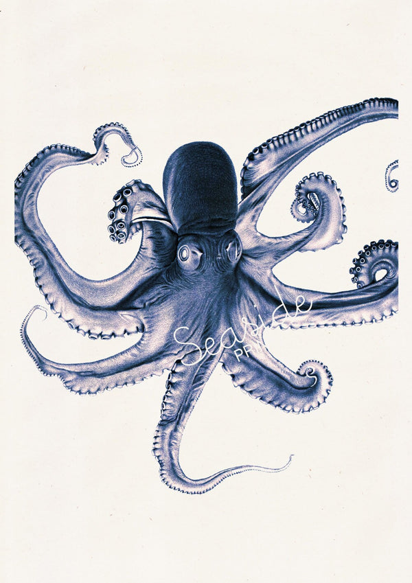 Blue Octopus Print Art