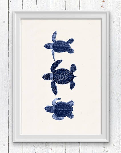 Little turtles in blue
