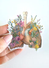 Christmas  Stocking Stuffer - gift Lungs and Heart with wild flowers Anatomy stickers, laptop tickers,  stickers laptop, anatomy art STC014