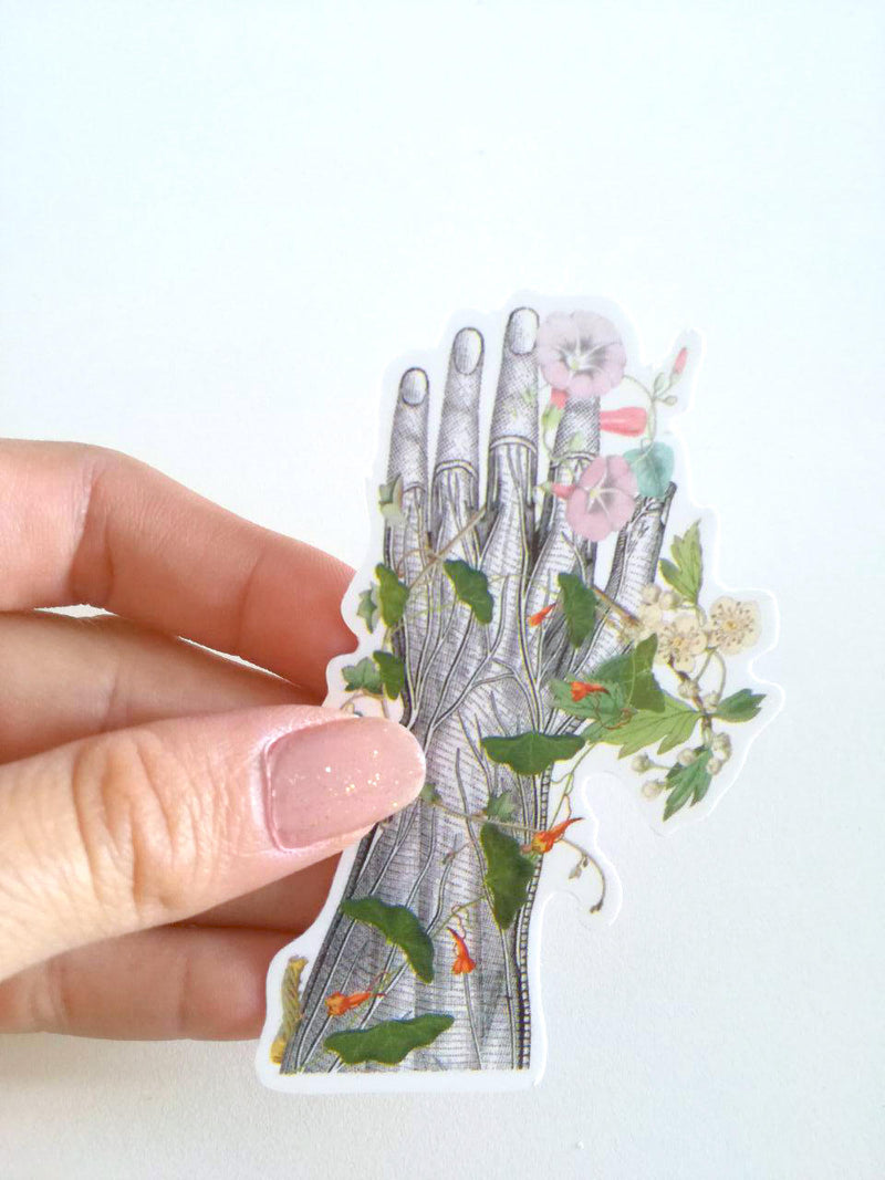 Christmas  Stocking Stuffer  -Stickers for Hydroflask Human Anatomy hand with flowers stickers set, perfect gift for medical student  STC017