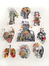 Christmas  Stocking Stuffer - Floral Anatomy - Human Anatomy Stickers - Vinyl Decal Set - Anatomy Gifts - Medical Anatomy Sticker - STC019