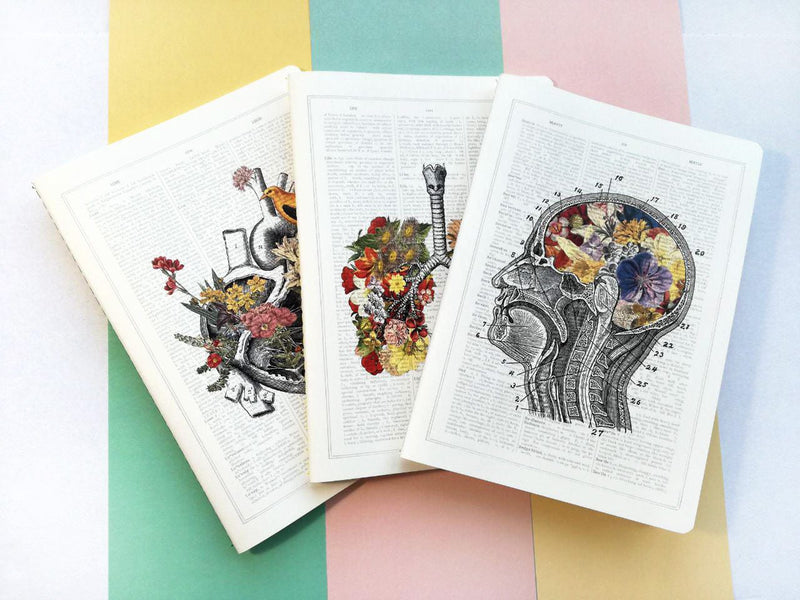 Christmas Gift Ideas Flower Brain Notebook - Anatomy Notebooks - Travelers Notebook - Flower Anatomy Gift - Anatomical Brain - NTBSKA053