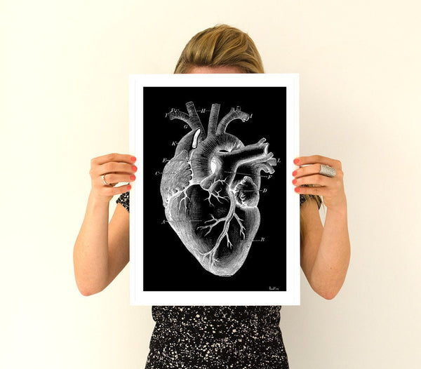 Human heart black background anatomy art wall