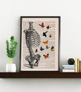 Human Skeleton Torso full of butterflies