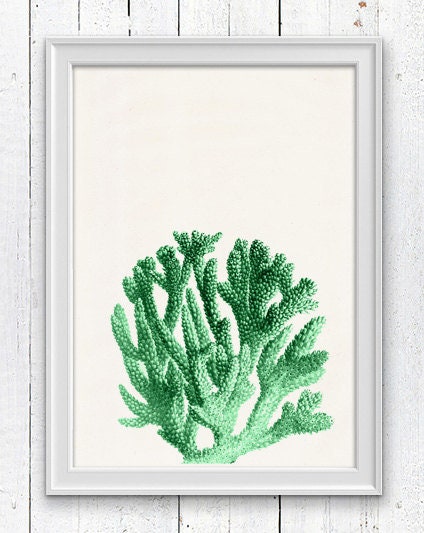 Mint coral sea life print