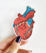 Christmas Gifts Idea, Doctor gift,  Colorful Heart, Anatomical heart stickers, stickers pack, laptop stickers, Medicine student gift, STC025