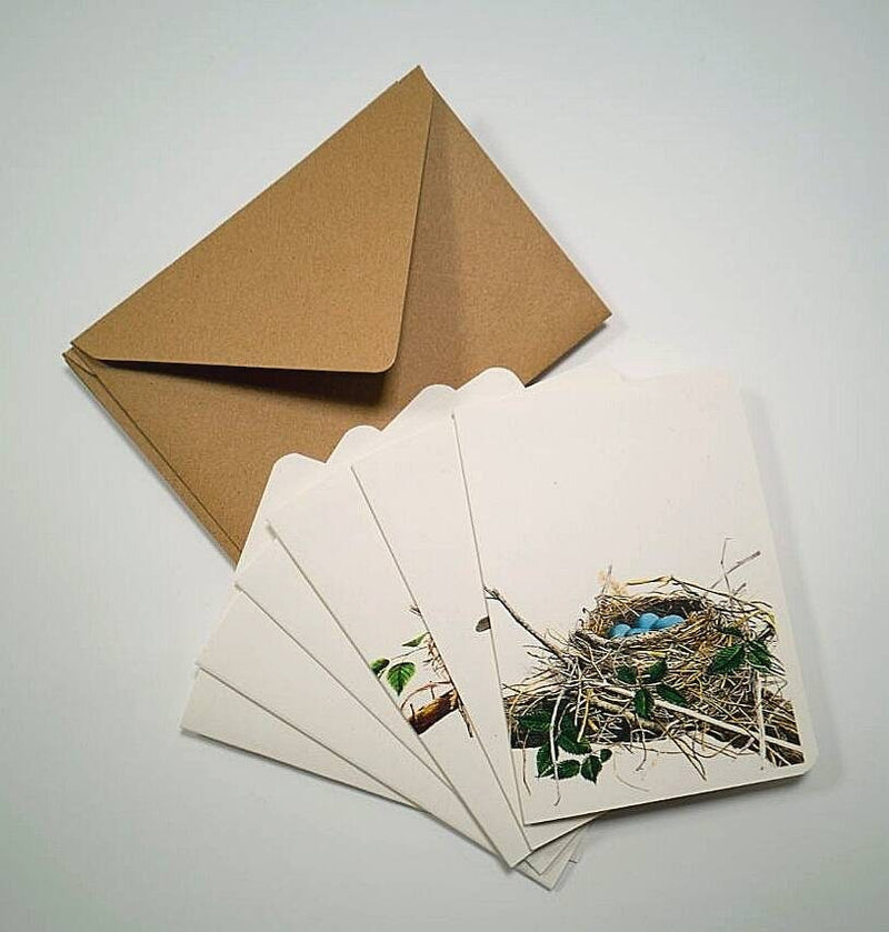 Birds and nests notecards set