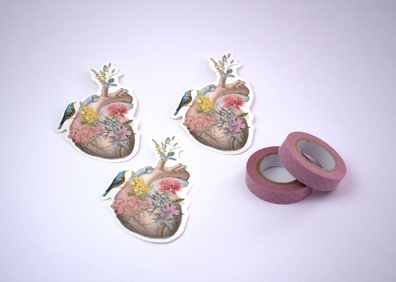 Anatomical heart stickers set - human anatomy art with flowers - transparent laptop stickers - soft colours stickers - gift under 10 STC033