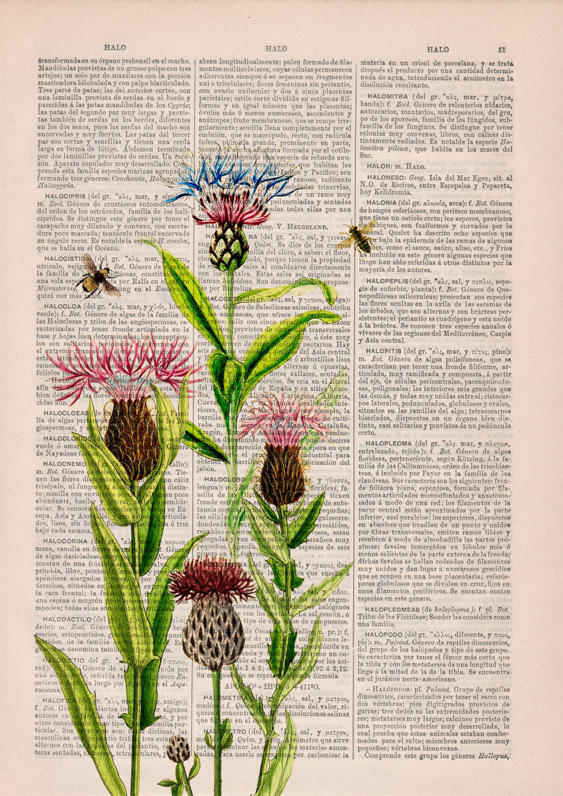 Bees with Cardoons Print