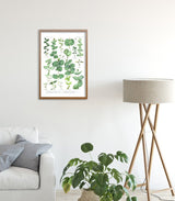 Eucalyptus Green Botanical Print