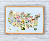 United States Flowers Botanical Map
