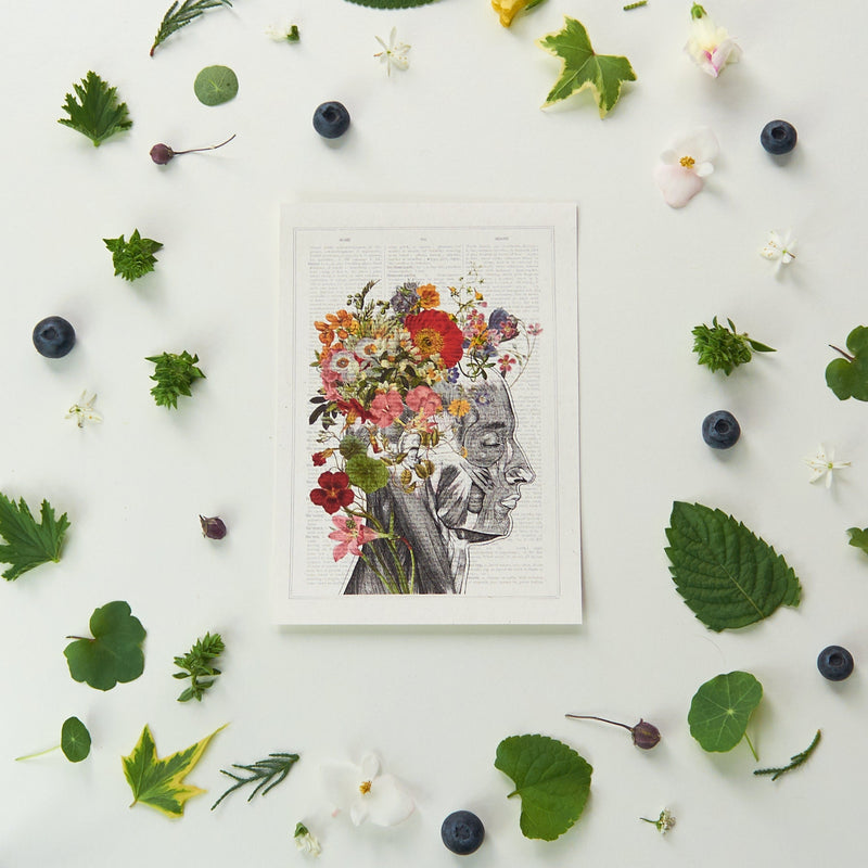 Multicoloured Flower Anatomy Postcards