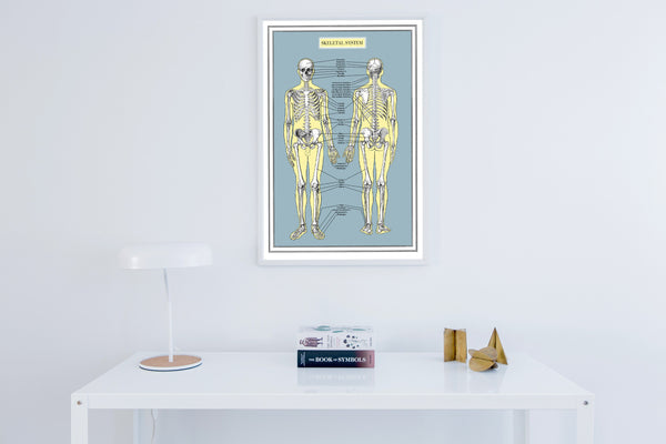 Skeleton System Anatomy Wall Art