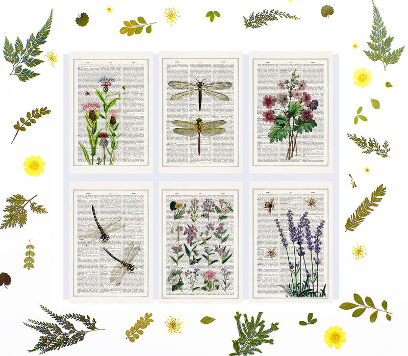Bees and Lilac flowers Postcards