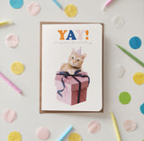 Christmas Funny Card boxed - Funny cats Cards - Set of 6 -  Greeting Cards  - Kitten Card - Cats Cards - Birthday Cards - NTC016WA6