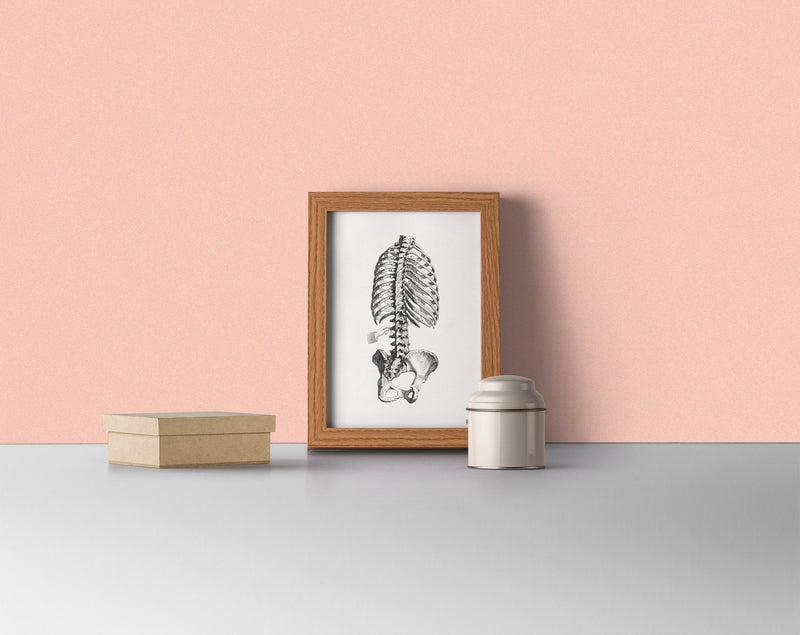 Xmas Svg, Wall art print SALE : Set of six  Black and white Anatomy collection, any six images of your choice with an special price  SET017