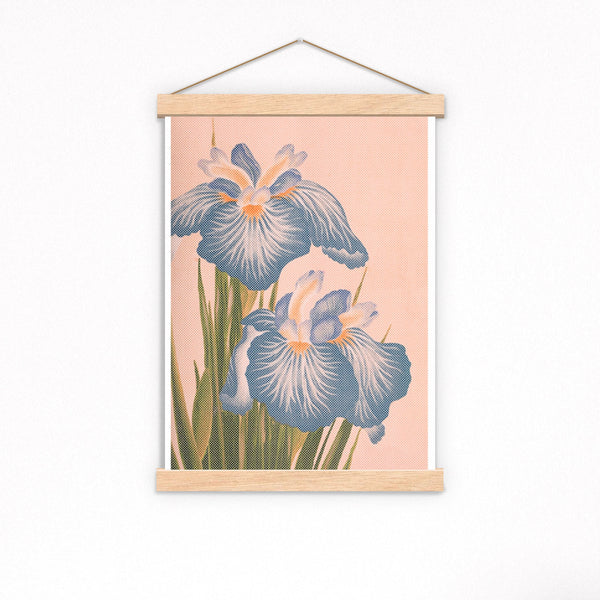 Blue Iris flowers Poster
