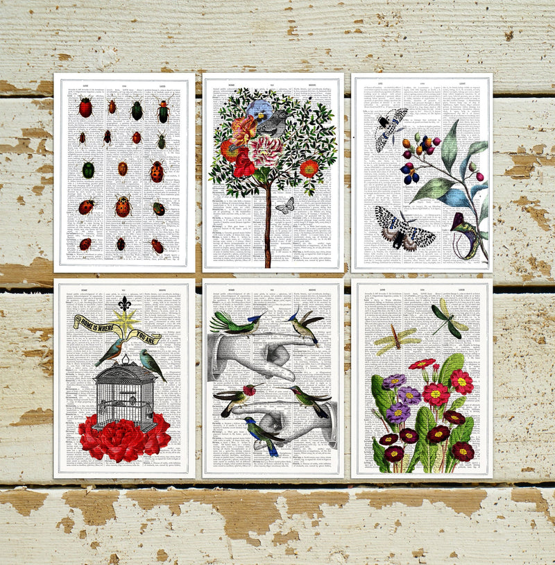 Birds and  flowers Postcards