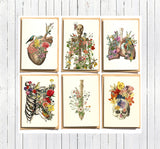 Christmas svg Gift - Anatomy and flowers. Notecards set of six , Blank note cards set. Greeting cards set. NTC009