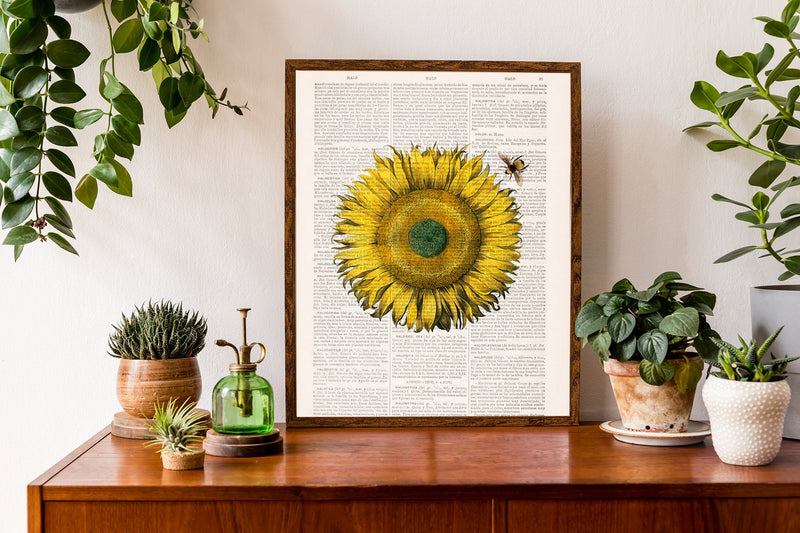 Pollination of a Sunflower Print