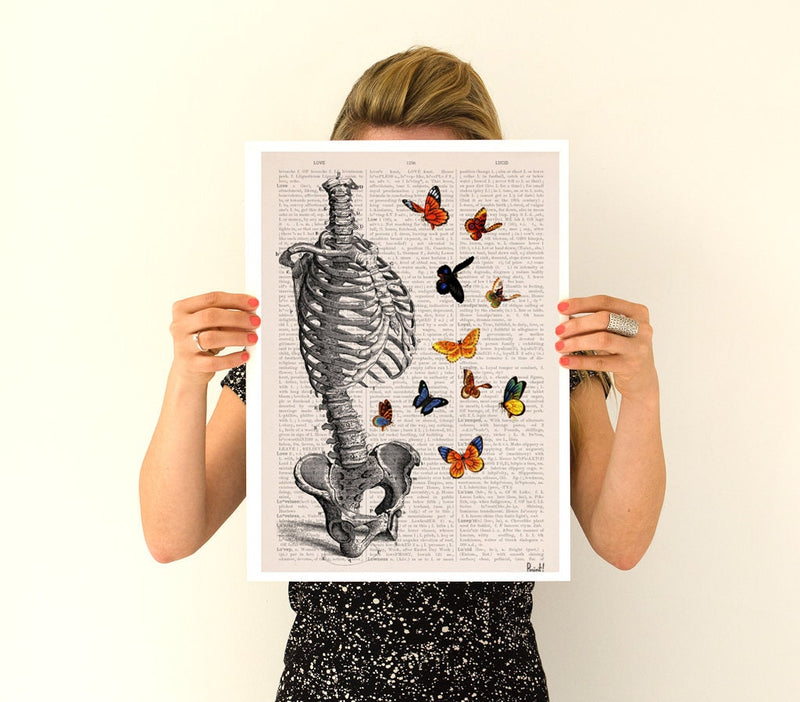 Human Skeleton Torso full of butterflies