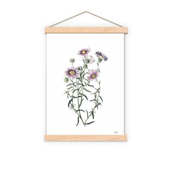 Wild daisies in lilac