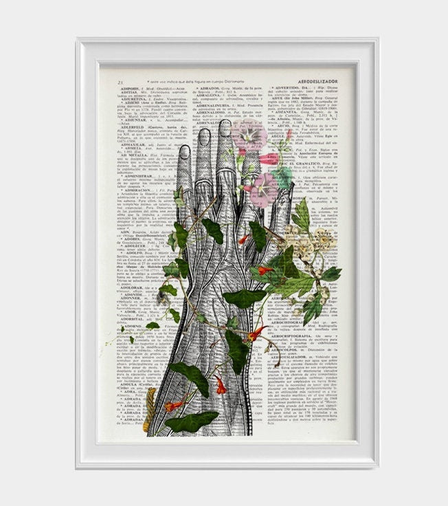 Human hand with flowers Anatomy Print