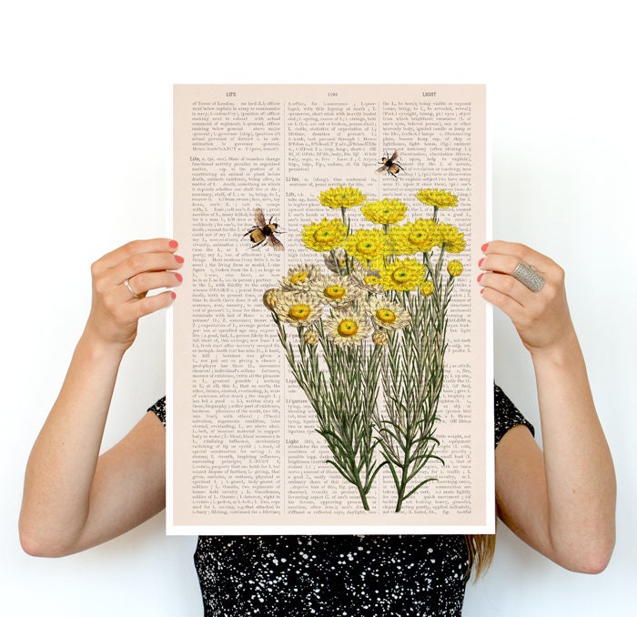 Yellow wild flowers with bees Print