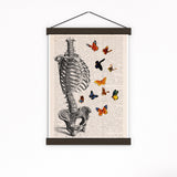 Human Skeleton Torso full of butterflies