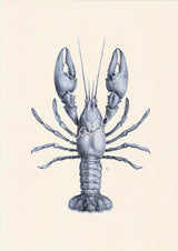 Blue Lobster sea life print