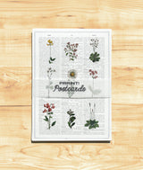 Wild flowers Set of Postcards Botanic aesthetic