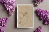 Vintage Botanical sketches - Neutral tones art - Gift Cards - Set of 6 - Floral Greeting Cards - Postcards - French Grey Cards - PSC024