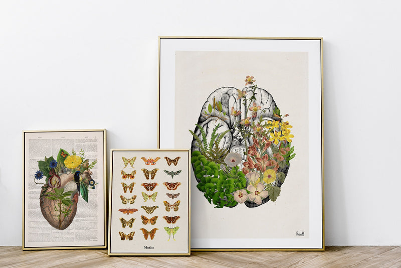 Blue Hummingbird Heart - Wall art print Flower Heart - Anatomy Illustration - Love Wall Art - Anatomical Heart - SKA302