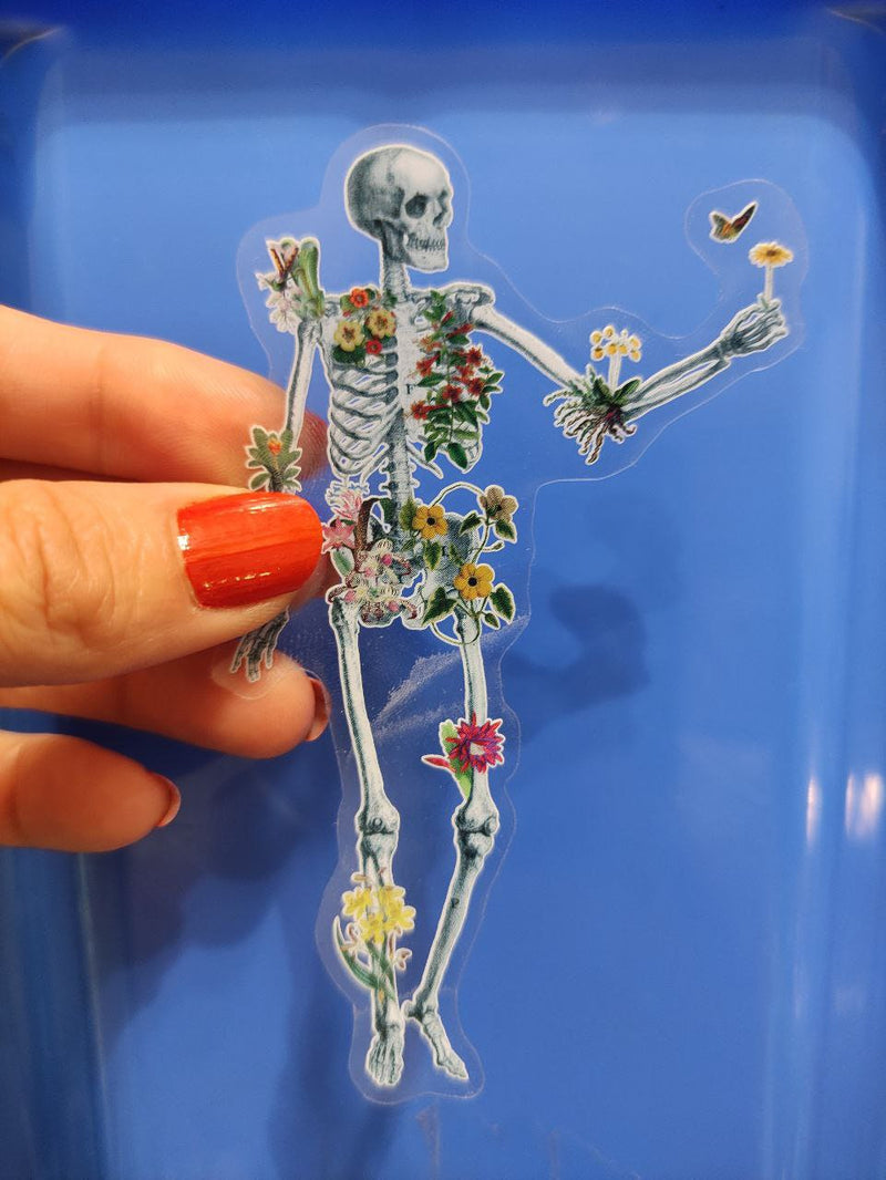 Clear stickers - skeletons Stickers - Flower Skeleton - Transparent Stickers - Anatomy Sticker - Laptop Decal - Human Skeleton - STC052