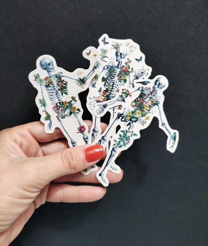 Clear stickers - skeletons Stickers - Flower Skeleton - Transparent Stickers - Anatomy Sticker - Laptop Decal - Human Skeleton - STC052