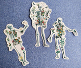 Clear stickers - skeletons Stickers - Flower Skeleton - Transparent Stickers - Anatomy Sticker - Laptop Decal - Human Skeleton - STC052