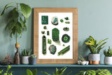 Crystals and Minerals print, Emerald Green  Wall Art , Science art, Wall art decor, Crystal stones Art print, TVH166