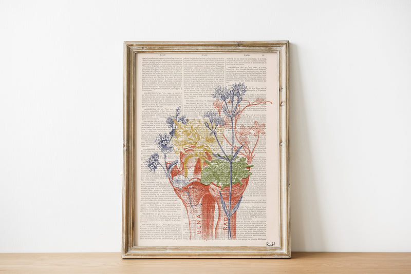 Colored Bones Engraving Anatomical Wall art print