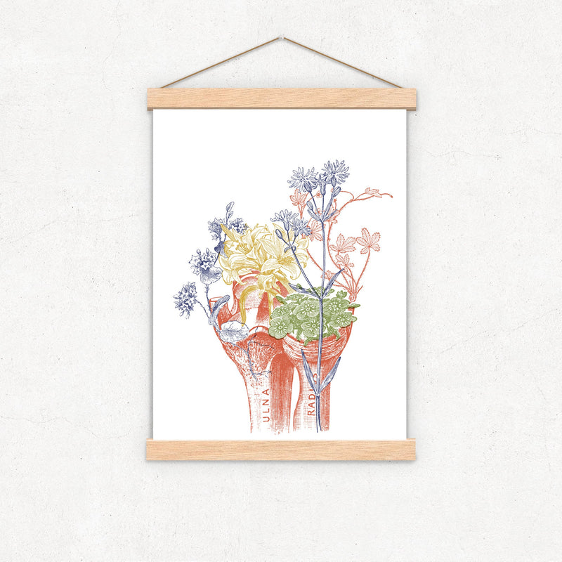 Colored Bones Engraving Anatomical Wall art print