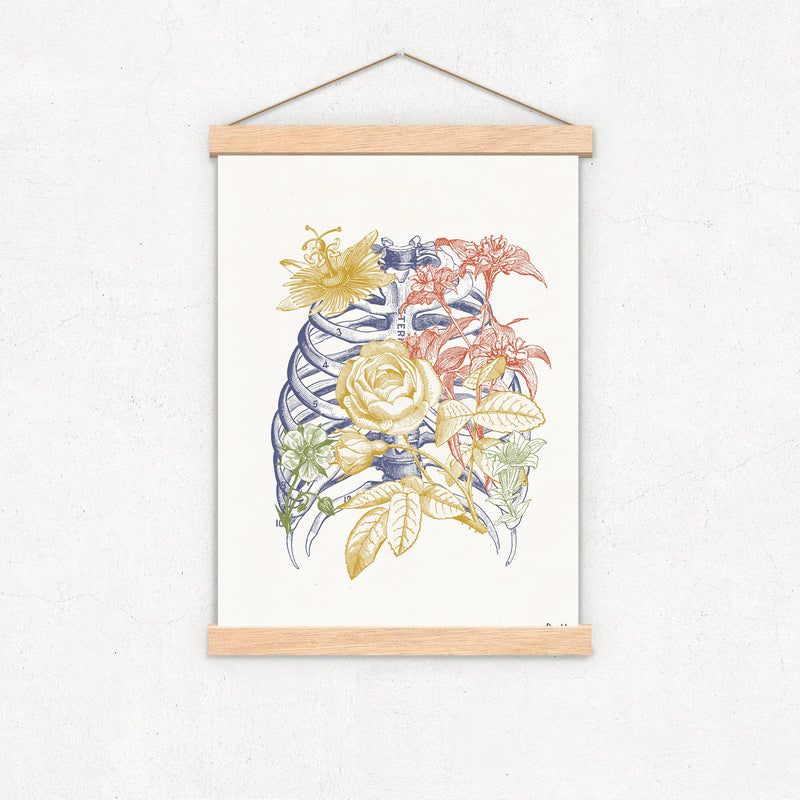 Colored Rib Cage Bones Engraving Anatomical Wall art print